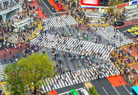 Top Things to do in Tokyo